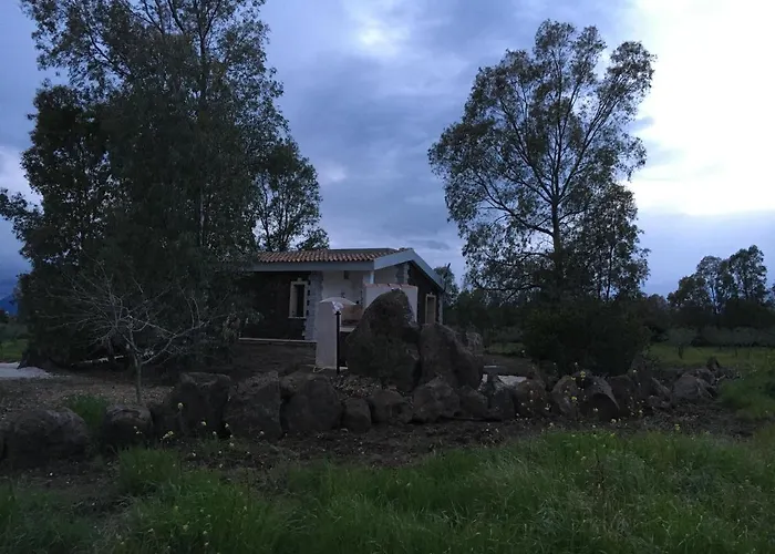 Sa Tanca De Su Catreathu
